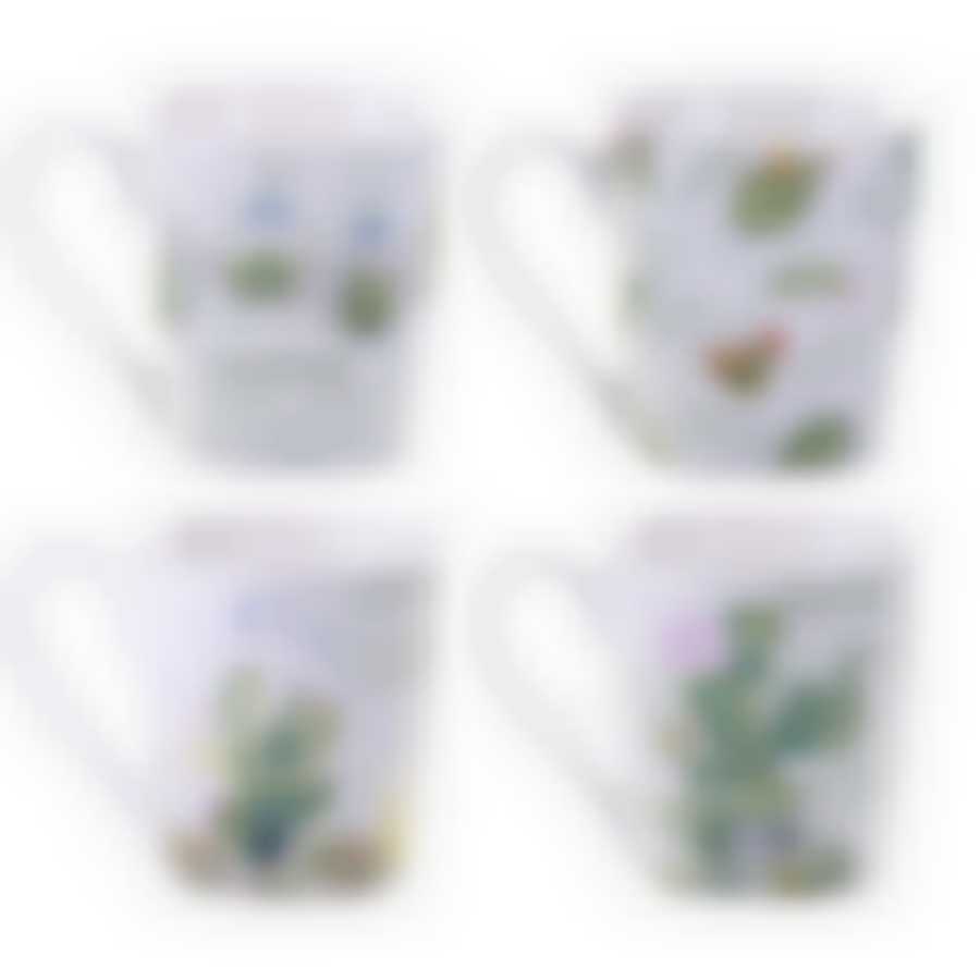 Кружка 320мл ЦВЕТУЩИЕ КАКТУСЫ 4 вида (12/48)