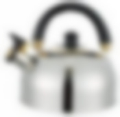 Чайник 4л. "Bayerhoff" с чёрной ручкой