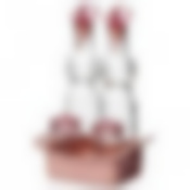 Набор емкостей для масла и специй Herevin, 5 предметов (цвет, в ассортименте)