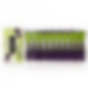 Прищепки Престиж 10 шт.