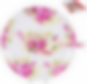 Набор для торта 2 пр. (блюдо 270мм + лопатка) ФЛОРА, подарочная упаковка