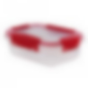 КОНТЕЙНЕР ГЕРМЕТИЧНЫЙ BUTTERFLY BRIGHT 0,5л (цвет в ассортименте)