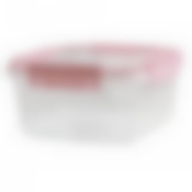 КОНТЕЙНЕР ГЕРМЕТИЧНЫЙ BUTTERFLY LIGHT 1,2л (цвет в ассортименте)