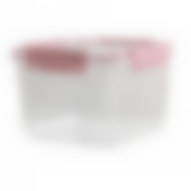 КОНТЕЙНЕР ГЕРМЕТИЧНЫЙ BUTTERFLY LIGHT 1,7л (цвет в ассортименте)