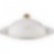 БЛЮДО С КРЫШКОЙ "ФАБЬЕН" 25*18*11 СМ