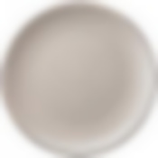 ТАРЕЛКА ДЕСЕРТНАЯ 19,5 СМ КОЛЛЕКЦИЯ "НОСТАЛЬЖИ" ЦВЕТ:ДЫМЧАТЫЙ (МАЛ-6 ШТ./КОР=36 ШТ.)