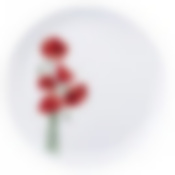 Тарелка обеденная ДИВАЛИ ГИПНОЗИС 27см