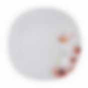 Тарелка обеденная ФЛОРЕНЦИЯ 27см