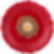 БЛЮДО "МАКОВЫЙ ЦВЕТ" 26*26*3.5 СМ