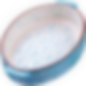 27900 Форма для запекания 1,9л.керамика LR (х12)