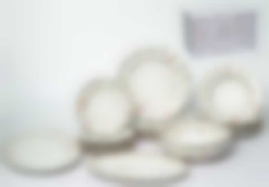 Набор столовый 21 пр. "ТЕОДОРА"