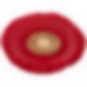 БЛЮДО ОВАЛЬНОЕ "МАКОВЫЙ ЦВЕТ" 26*19*3 СМ