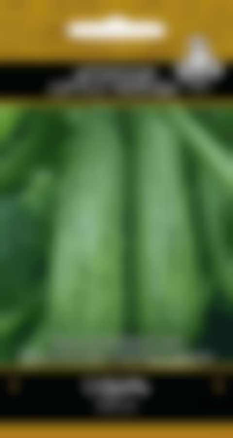 Кабачок Сударь (А) 270562