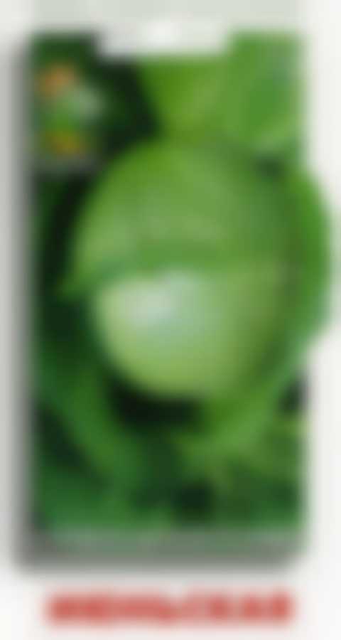 Капуста белокочанная Июньская 280175