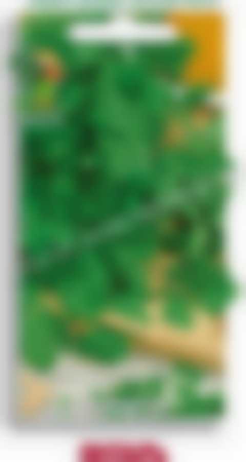 Кориандр Янтарь 300476