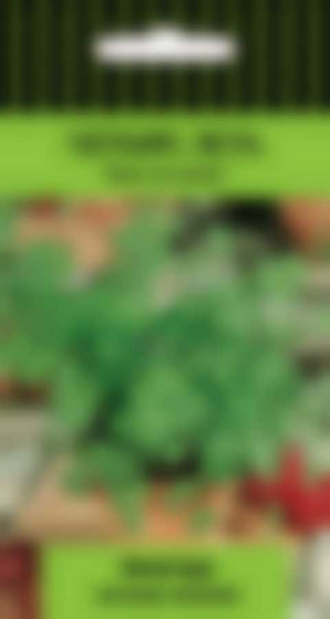 Кориандр Авангард (А) 668553