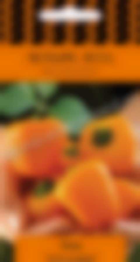 Перец сладкий Тема (А) 683149