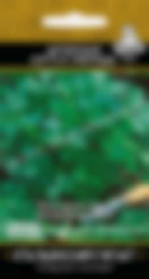 Петрушка Итальянский гигант (А) 410893