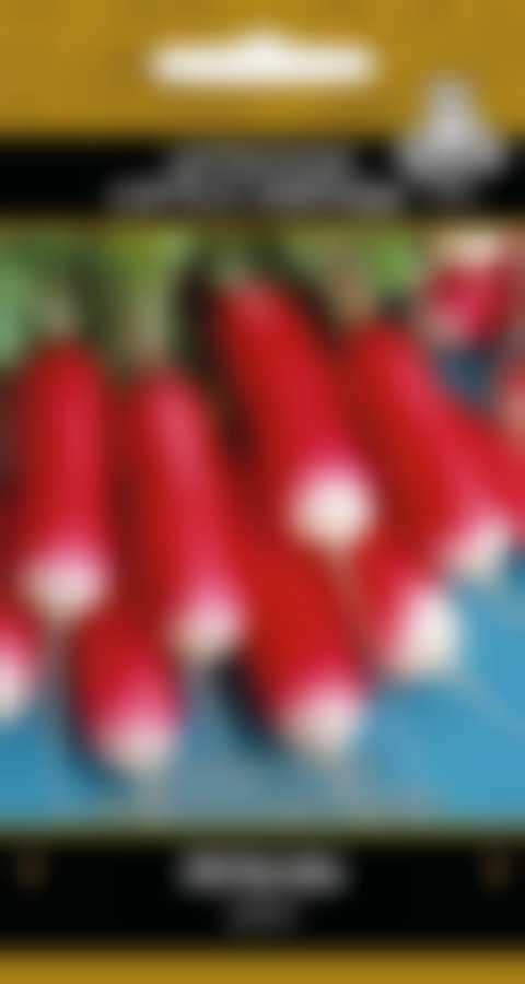 Редис Любава (А) 440889