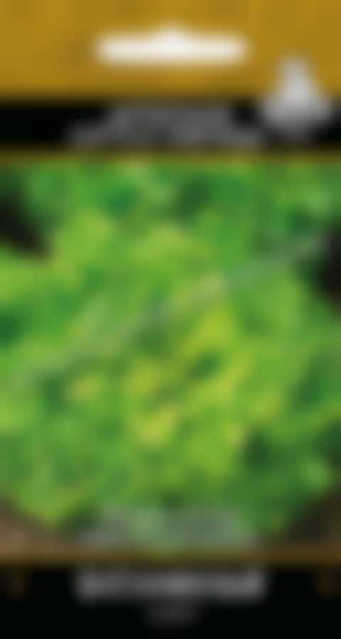 Салат Витаминный (А) 470441