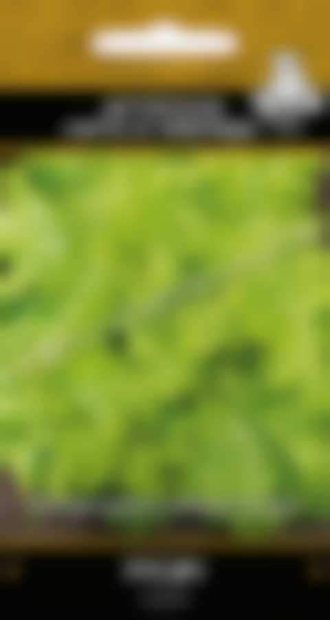 Салат Русич (А) 707172