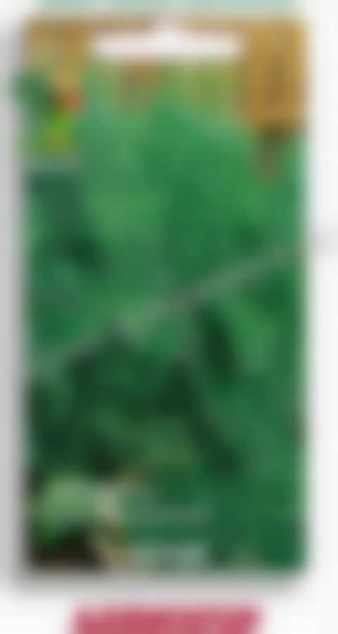 Укроп Аллигатор 560234