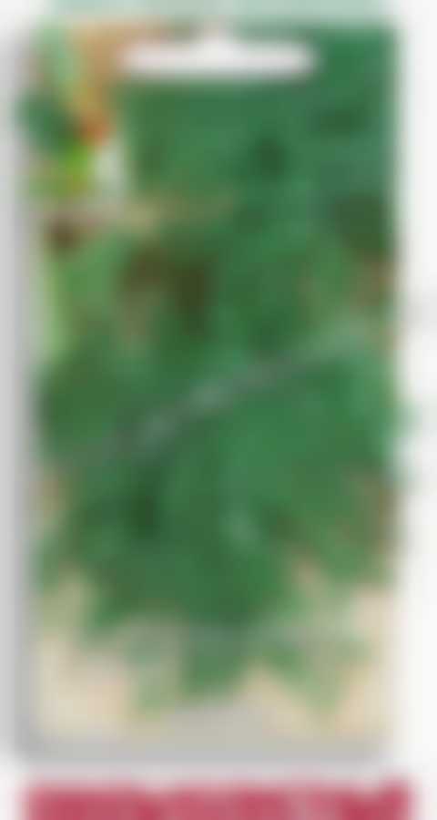 Укроп Обильнолистный 560307