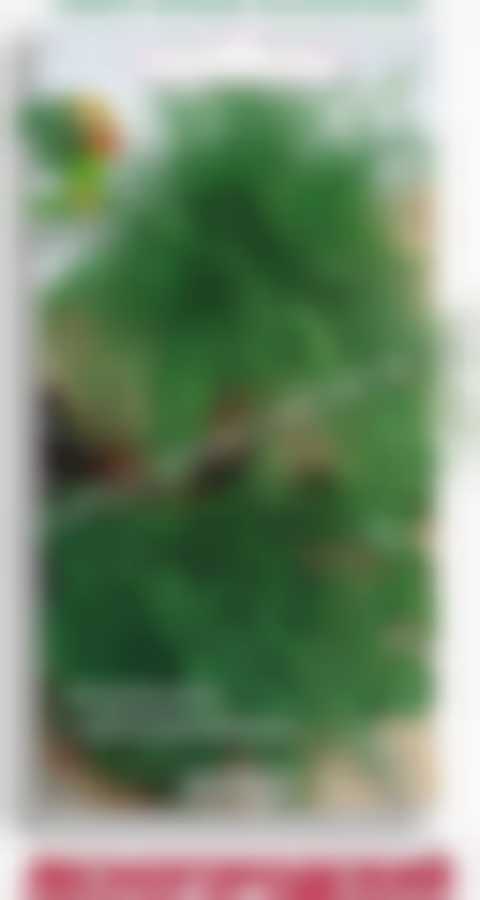 Укроп Лесногородский 560286