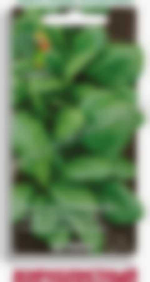 Шпинат Жирнолистный 590547