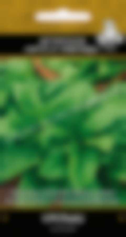 Шпинат Крепыш 590557