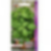 Базилик овощной Тонус (А) 150733