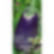 Баклажан Вера 150807