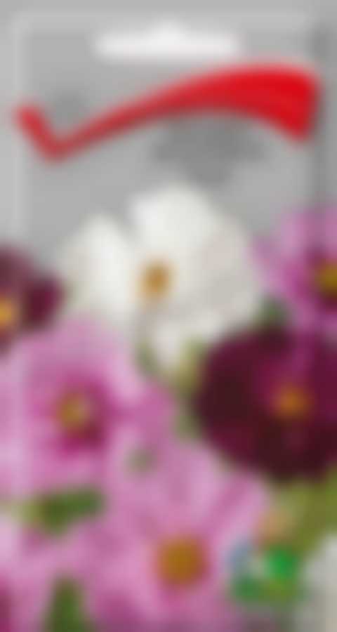 Космея махровая Психе 300618