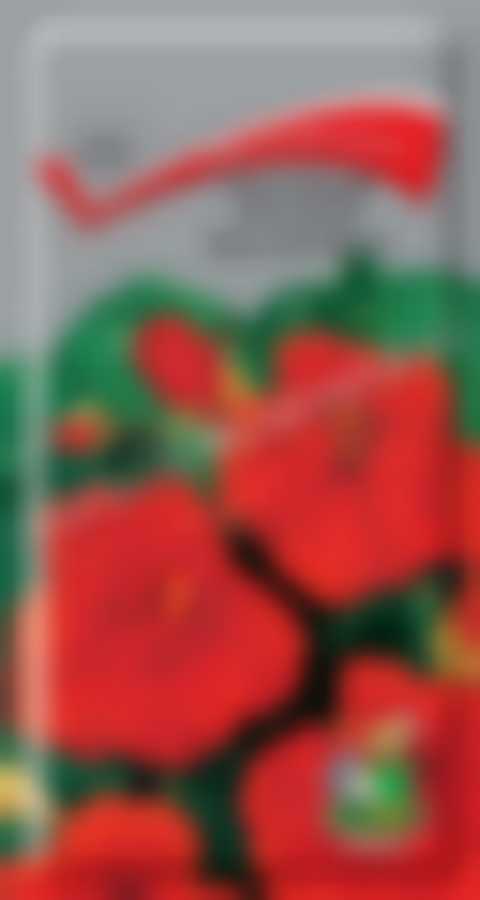 Настурция большая Красный блик 390207