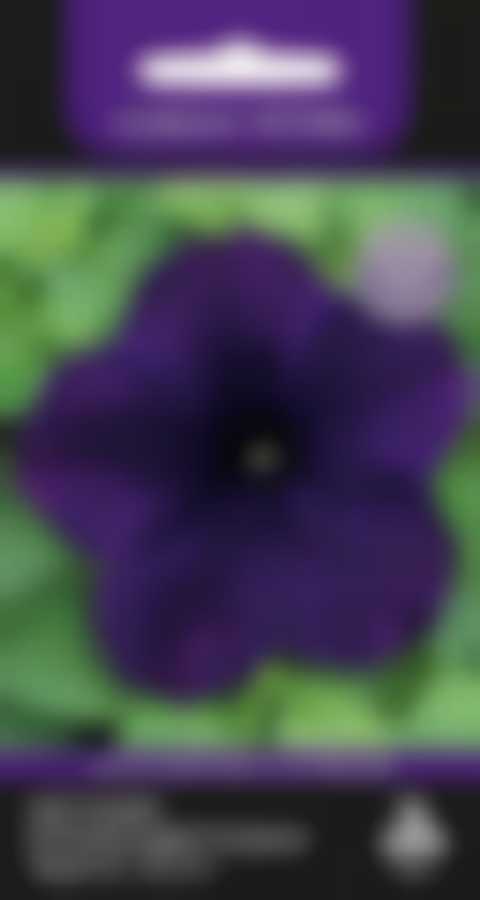 Петуния крупноцветковая Танго Синяя 737359