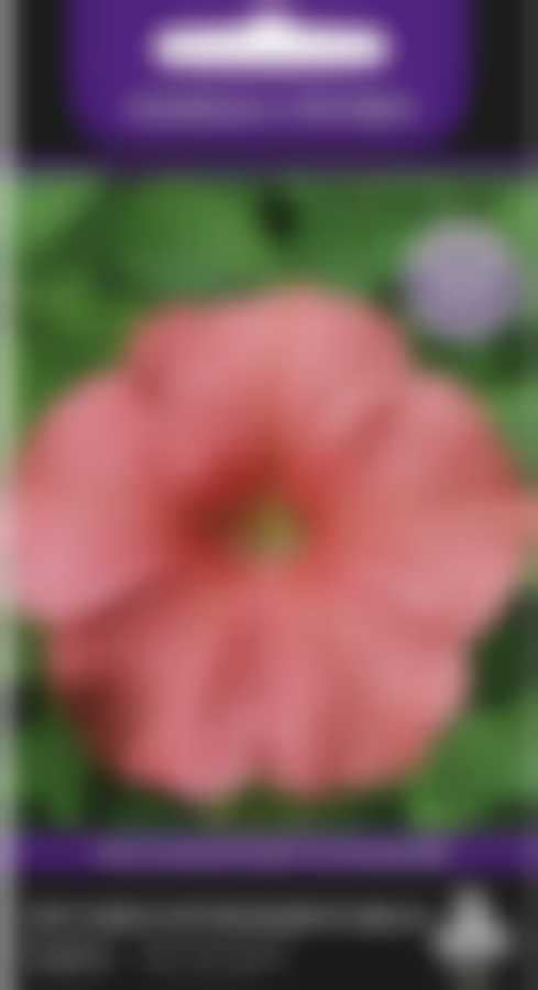 Петуния крупноцветковая Танго Лососевая 737377