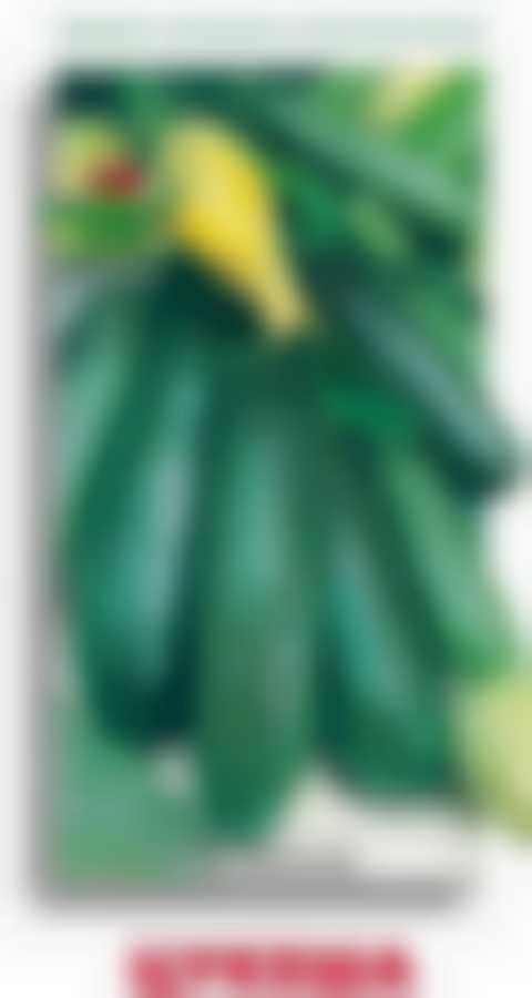 Кабачок Цукеша 270576