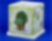 Горшок Кубик "Цветы в горшке" на зеленом d15/h17см NK21/2