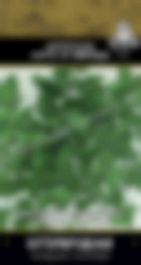 Петрушка Бутербродная (А) 410891