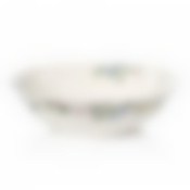 Салатник WILD BOTANICALS 23см