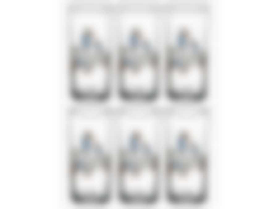 НАБОР СТАКАНОВ "ГУСИ" ИЗ 6 ШТ 290 МЛ.