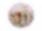 ТАРЕЛКА НАСТЕННАЯ ДЕКОРАТИВНАЯ "ПТИЦА" ДИАМЕТР=20 СМ. ВЫСОТА=5 СМ.