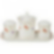 НАБОР ДЛЯ СПЕЦИЙ "ПАСАДЕНА" 4ПР. 22*10*12 СМ. (КОР=24НАБ.)