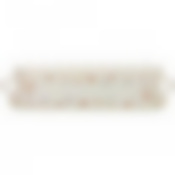 БЛЮДО "ПАСАДЕНА" 42*22*3,5 СМ. (КОР=8ШТ.)