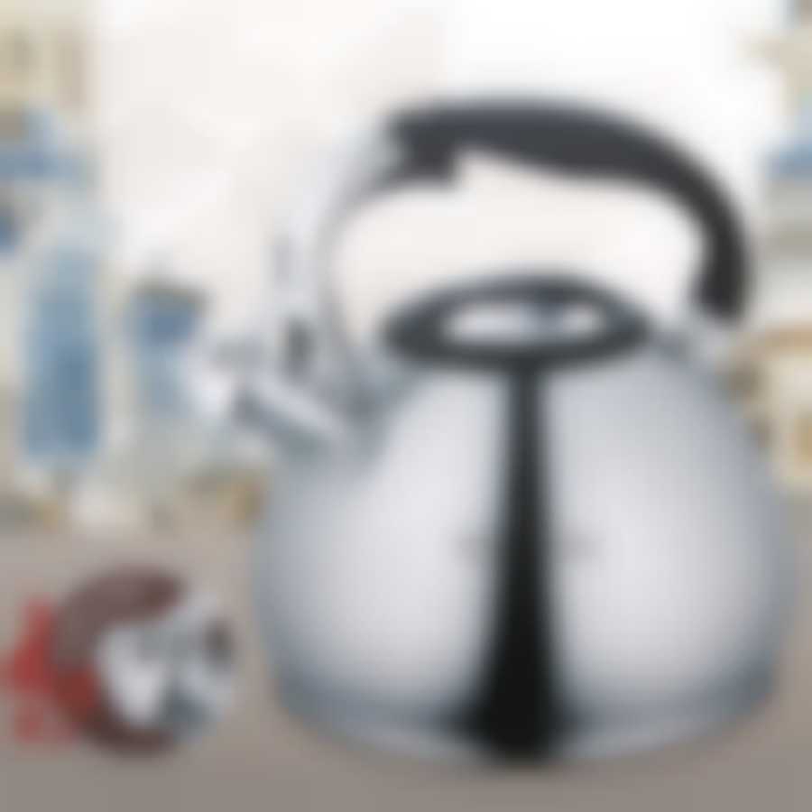 Чайник со свистком, 3,5 л