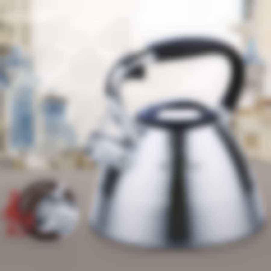 Чайник со свистком, 3,0 л