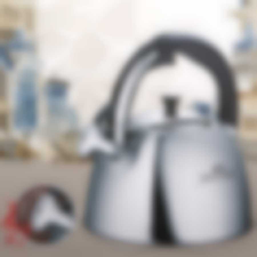 Чайник со свистком, 3,0 л