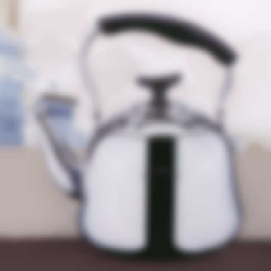 Чайник заварочный с ситечком, 1,5л