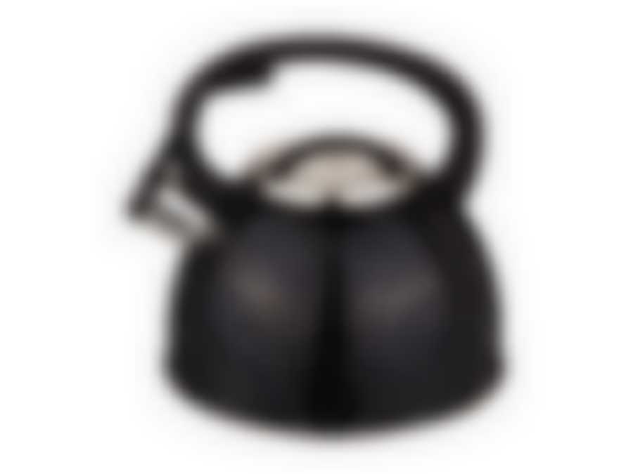 ЧАЙНИК СО СВИСТКОМ "ЧЕРНЫЙ МРАМОР", 2,5Л НЖС