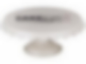 ТОРТОВНИЦА НА НОЖКЕ ВЫСОТА=11 СМ.ДИАМЕТР=20.5 СМ.